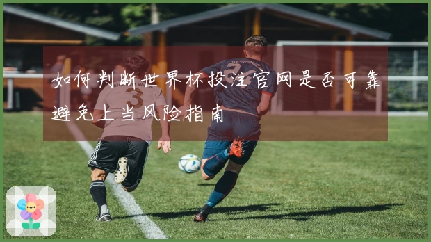 如何判断世界杯投注官网是否可靠避免上当风险指南