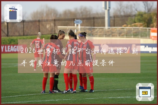 2026世界杯竞猜平台如何选择？新手需要注意的几点前提条件